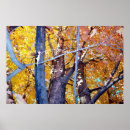 Suche nach herbstblätter poster Fotografie
