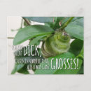 Suche nach raupe postkarten Für alle