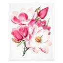 Suche nach rosa magnolie poster Botanisch