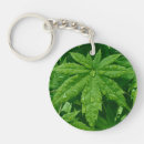 Suche nach ahorn schlüsselanhänger Botanisch