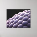 Suche nach wirbellos leinwandbilder Mikrografie