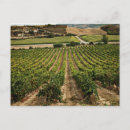 Suche nach santiago postkarten Camino