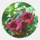 Suche nach trompeten aufkleber Blume
