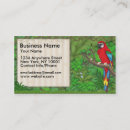 Suche nach roter vogel visitenkarten Tier