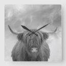 Suche nach scotland wanduhren Cow