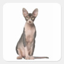 Suche nach sphynx aufkleber Natur