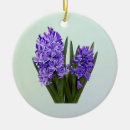 Suche nach hyazinthen ornamente Frühling
