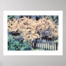 Suche nach blühender mandelbaum poster Blumen