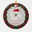Suche nach bichon frise ornamente Pet