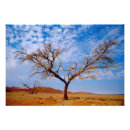 Suche nach trostlos poster Landschaft