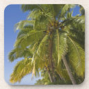Suche nach das polynesien untersetzer Palme