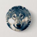 Suche nach grauer wolf buttons Grauwolf