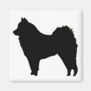 Suche nach eurasien magnete Eurasier