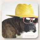 Suche nach boxerhund untersetzer Studioschuß
