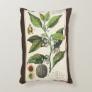 Suche nach muskatnuss kissen Für alle