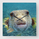 Suche nach puffer wanduhren Fisch