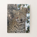 Suche nach nahaufnahme puzzle Jede person