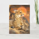 Suche nach großkatzen karten Gepard