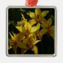Suche nach orchideen ornamente Jede person