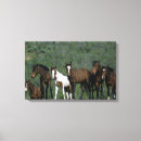 Suche nach mustangs leinwandbilder Gruppe