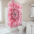 Suche nach rosa dahlie Aquarell