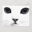 Suche nach miezekatze postkarten Jede person