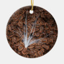Suche nach nahrung ornamente Natur