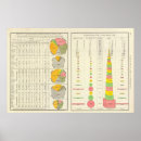 Suche nach agriculture poster United