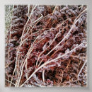 Suche nach farne poster Jede person