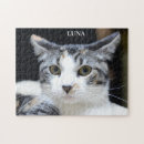 Suche nach auge puzzle Jede person