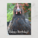 Suche nach cochin postkarten Huhn