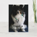 Suche nach shelties Jede person