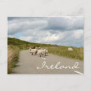 Suche nach schäfer postkarten Für alle