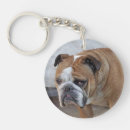 Suche nach englisch schlüsselanhänger Englischer bulldog