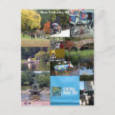 Suche nach buggy postkarten Pferd und buggy