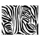 Suche nach zebramuster poster Tierdruck