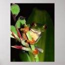 Suche nach froschplakat Niedlich