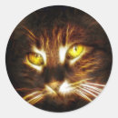Suche nach katzenauge aufkleber Kätzchen
