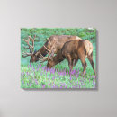 Suche nach jaynes galerie leinwandbilder Gordon illg