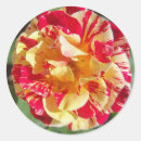 Suche nach gelbe rose aufkleber Blumenreich