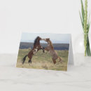 Suche nach hengst karten Pferd