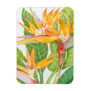 Suche nach orange grün magnete Blumen