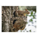 Suche nach rote bäume poster Baum