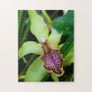 Suche nach orchideen blumen puzzle Tropisch