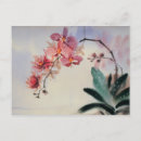 Suche nach phalaenopsis postkarten Für alle