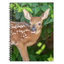 Suche nach verblassen kleine notizbücher Natur