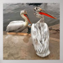 Suche nach schnabel kunst Wasservogel