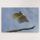 Suche nach parrot puzzle Tier