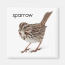 Suche nach spatz magnete Tierwelt