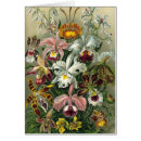 Suche nach orchideen blume karten Natur